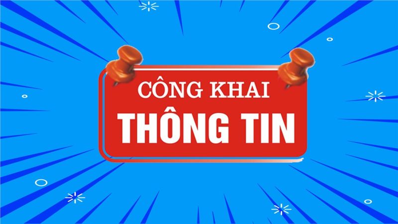 TIỂU HỌC HẬU MỸ TRINH - CÔNG KHAI ĐIỀU KIỆN ĐẢM BẢO CHẤT LƯỢNG GIÁO DỤC PHỔ THÔNG
